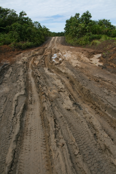 logging treks to belaga.JPG